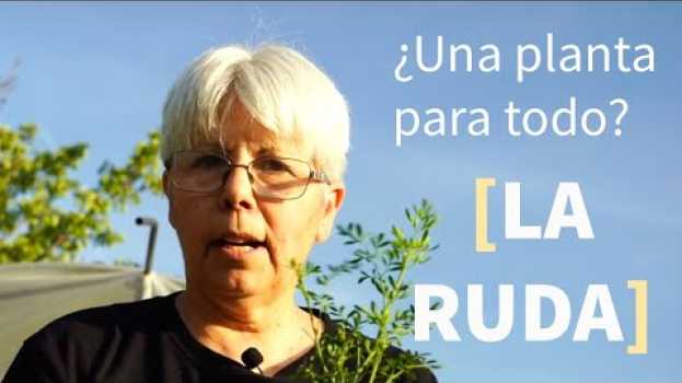 Video 🌿La Ruda,  mi EXPERIENCIA de más de 60 años viviendo con ella por Adalú em Portuguese
