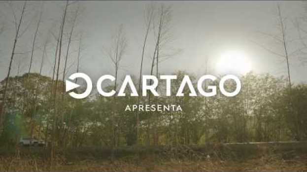 Video CARTAGO DIA DOS PAIS en Español