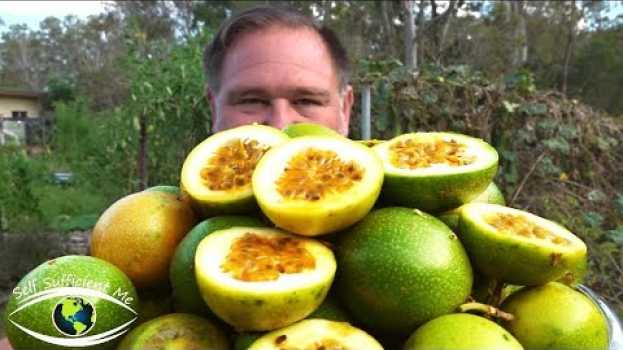 Video 5 Tips How To Grow a Ton of Passionfruit From ONE Passion Fruit! en français