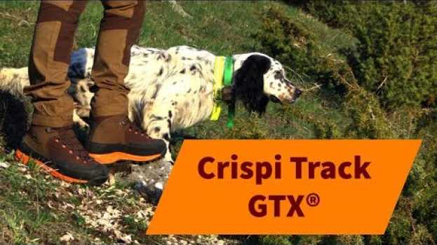 Video Crispi Track GTX®. Scarpone ad alta visibilità per la caccia nel bosco na Polish