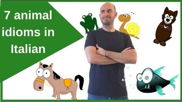 Video Espressioni italiane con gli animali 🐸 🐠 🐎 | Impara l'italiano con Francesco na Polish