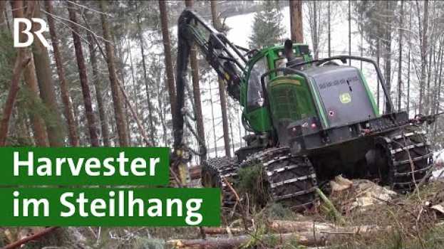 Video Mit Harvester und Seilwinde: Bäume fällen am Steilhang im Frankenwald | Agrartechnik | Unser Land su italiano