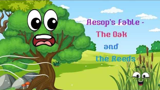 Video Aesop's Fable  The Oak and the Reeds in English