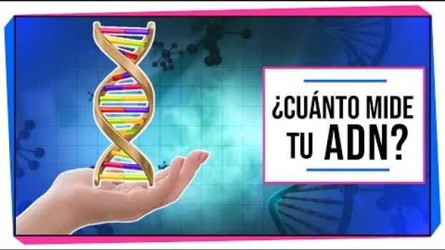 Video ¿Cuánto mide tu ADN? | DATOS INÚTILES PERO INTERESANTES em Portuguese
