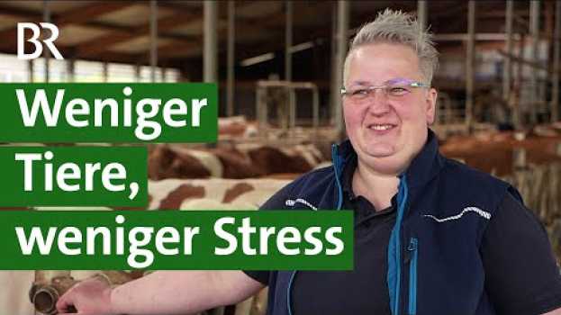 Video Weniger Kälber, weniger Milch, mehr Tierwohl? Landwirtin managt ihren Stall anders | Unser Land | BR en français