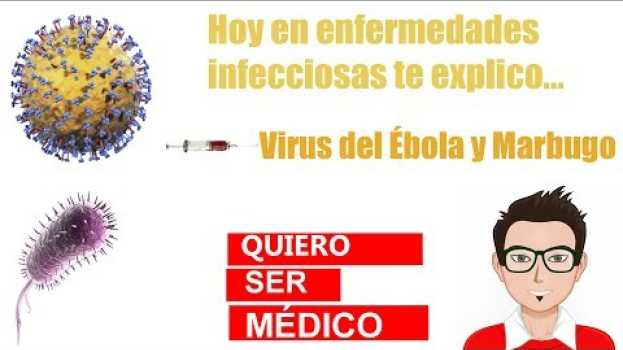 Video Virus del Ébola y Marburgo. ¿Qué se conoce de ellos a día de hoy? su italiano
