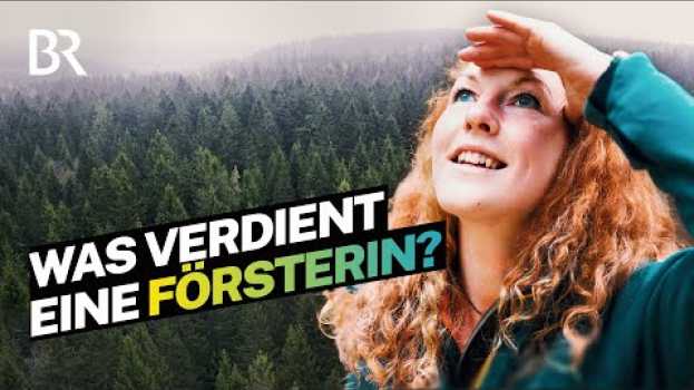 Video Traumberuf im Wald: So viel Gehalt verdienen Förster I Lohnt sich das? I BR su italiano