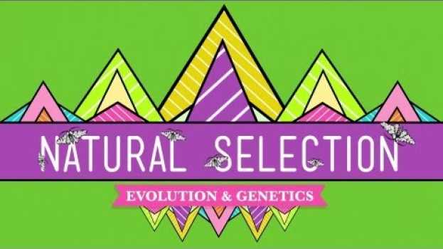 Video Natural Selection - Crash Course Biology #14 in English