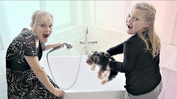 Video New PUPPY'S First Bath! en français