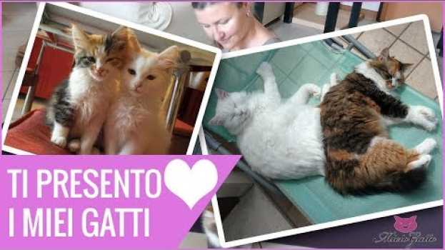 Видео Ti presento i miei gatti: ❤ Lady e Oscar ❤ e la mia vita con loro на русском