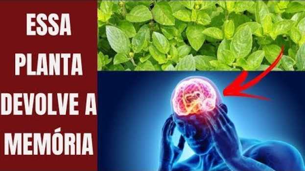 Video Esta Planta Recupera Sua MEMORIA, Protege Seu Cérebro, Cuida do Seu Coração e Visão! su italiano