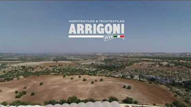Video Arrigoni | Gli straordinari risultati di PRISMA® LDF su pomodoro en Español