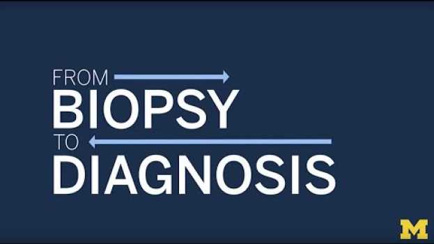 Video From Biopsy to Diagnosis: How Pathologists Diagnose Cancer and Other Diseases in Deutsch