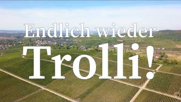 Video 20. Trollinger Marathon Heilbronn - Endlich wieder Trolli em Portuguese