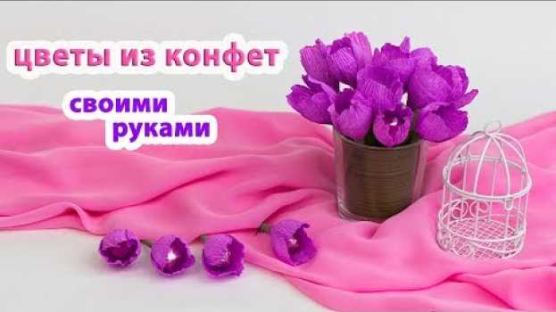 Video Очень простой способ сделать цветы из конфет мастер класс от Buket7ruTV na Polish