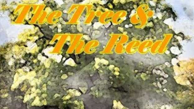 Video Amazing Aesops Fables - The Tree and The Reed - Short Story - Moral Story - su italiano