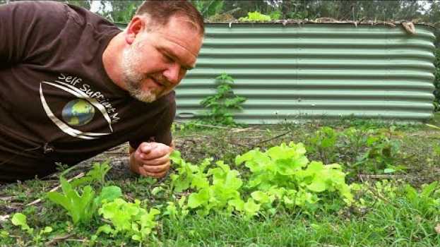 Видео 5 Veggies That Grow FASTER Than GRASS! на русском