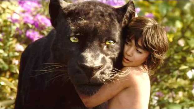 Video The Jungle Book (Racial Discrimination) en Español