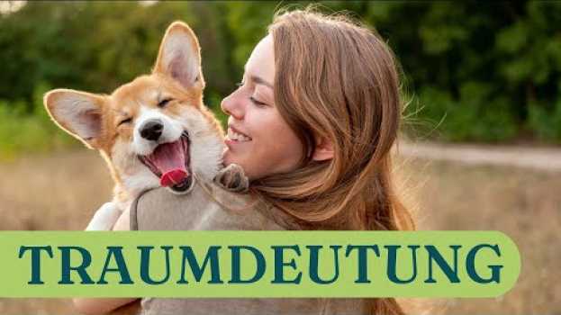 Видео Traummotiv Hund: So deutet ihr euren Traum richtig на русском