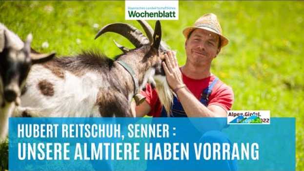 Видео Unsere Almtiere haben Vorrang | Huber Reitschuh, Senner | Alpen.Gipfel.Europa.2022 на русском