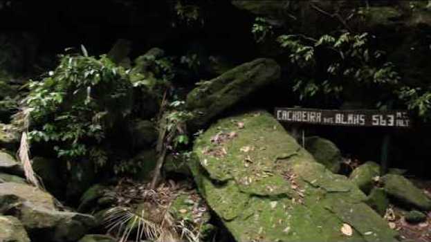 Video Trilha Floresta da Tijuca e Cachoeira das Almas - Nattrip in Deutsch