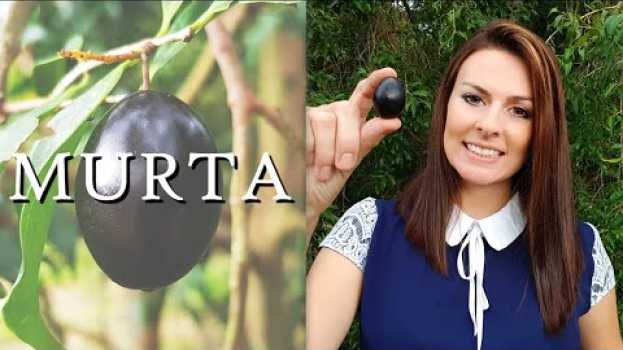 Video MURTA | Madame das Frutas (*Bônus no final do vídeo*) in English