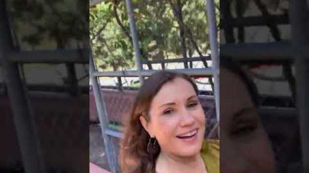 Video  auf Deutsch