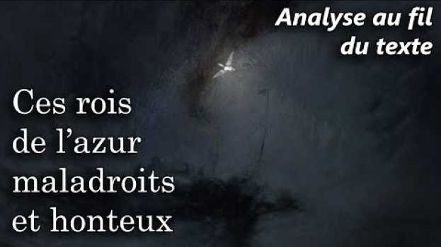 Video BAUDELAIRE 🔎 Les Fleurs du Mal - L'Albatros (Analyse au fil du texte du poème) en français