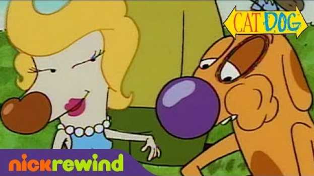 Video Top 5 CatDog Moments You May Have Missed! | NickRewind en Español