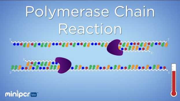 Video What is PCR? Polymerase Chain Reaction | miniPCR bio™ su italiano