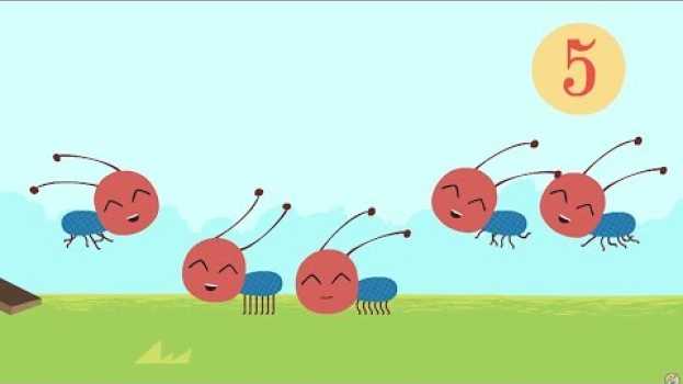Video Castoro Costruttore - Uno scivolo per le formichine - Numero 5 | Cartoni animati na Polish