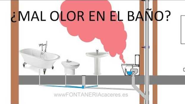 Video Mal olor en el baño , De donde viene y como evitar el mal olor en casa em Portuguese