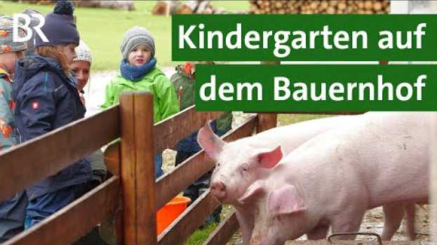 Video Bauernhof Doku: Kindergarten auf dem Bauernhof gewinnt Wettbewerb | Unser Land | BR in English