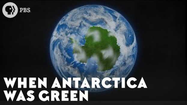 Video When Antarctica Was Green su italiano