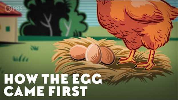 Видео How the Egg Came First на русском