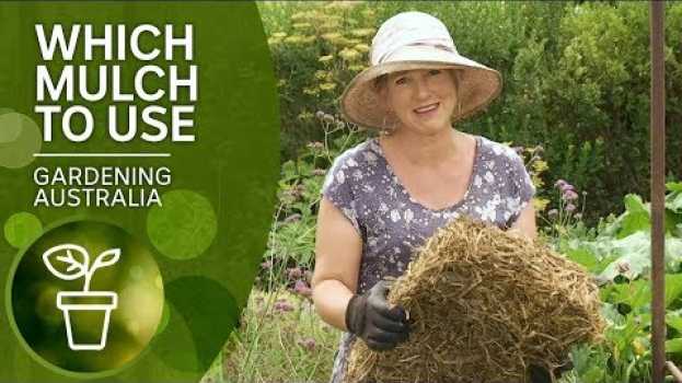 Видео Mulch – which one and when to use it | DIY Garden Projects | Gardening Australia на русском