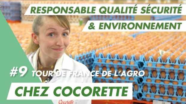 Video Pas d'omelette sans œufs frais de qualité avec Carole chez Cocorette qui recrute ! em Portuguese