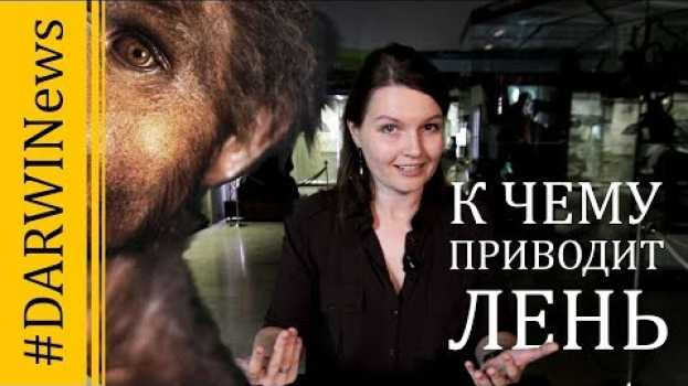 Video Еще одна причина исчезновения древних людей #Darwinews 8.5 na Polish