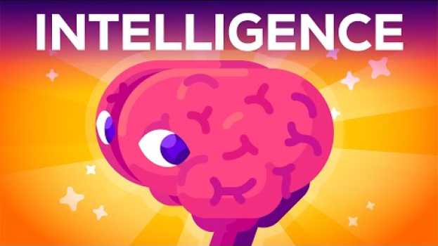 Video What Is Intelligence? Where Does it Begin? en français