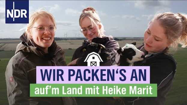 Video Frauenpower hoch 3: "Wir stellen uns den Herausforderungen und Aufgaben!" | Folge 7 | NDR auf‘m Land na Polish