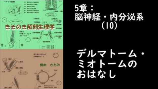 Video  in English