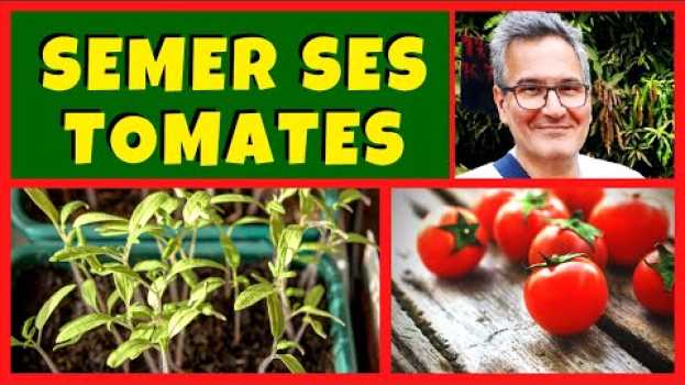 Видео Faire ses semis de tomates 🍅🍅🍅 на русском
