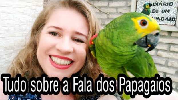 Video Tudo Sobre a Fala dos Papagaios en français