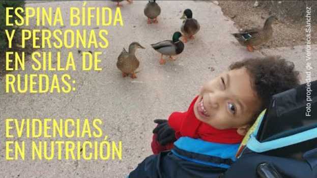 Video Espina bifida y personas en Silla de Ruedas: evidencias en nutricion #EspinaBifida #SillaRuedas in English