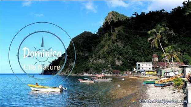 Video Dominica, l'île nature des Caraïbes 4K na Polish