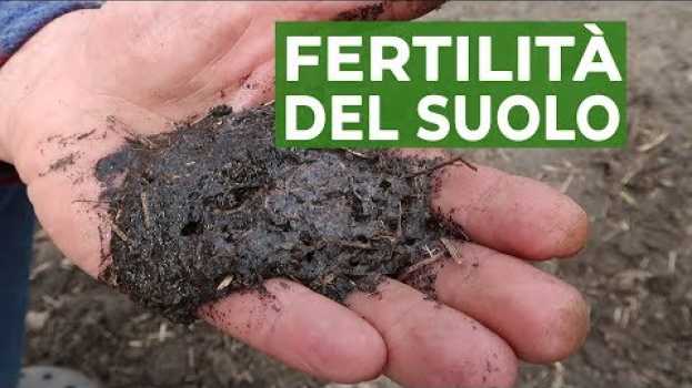 Video Fertilità del SUOLO, il metodo dell'acqua ossigenata  | ORTO em Portuguese