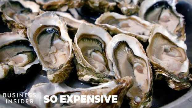 Video Why Oysters Are So Expensive | So Expensive su italiano