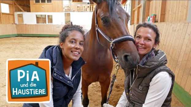 Video Ein Tag bei der Pferdeausbilderin | Information für Kinder | Pia und die Haustiere en français