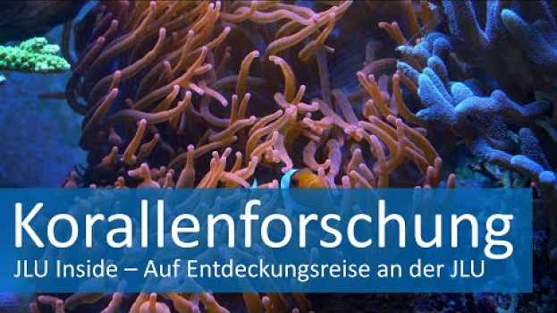 Video JLU Inside - Korallenforschung der Meeresbiologie en Español