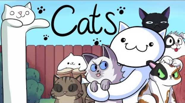 Video Our Cats :3 na Polish
